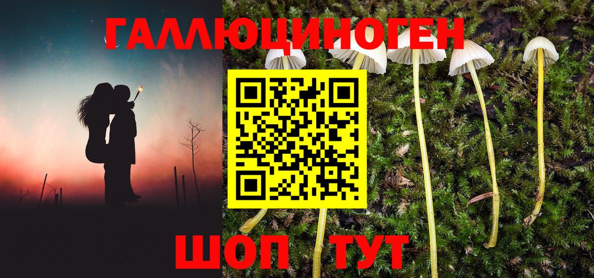 Галлюциногенные грибы GOLDEN TEACHER Камень-на-Оби