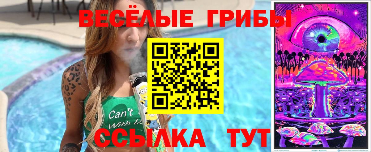 Камень-на-Оби  Галлюциногенные грибы GOLDEN TEACHER  купить наркотик  Галлюциногенные грибы GOLDEN TEACHER  Вход с VPN 